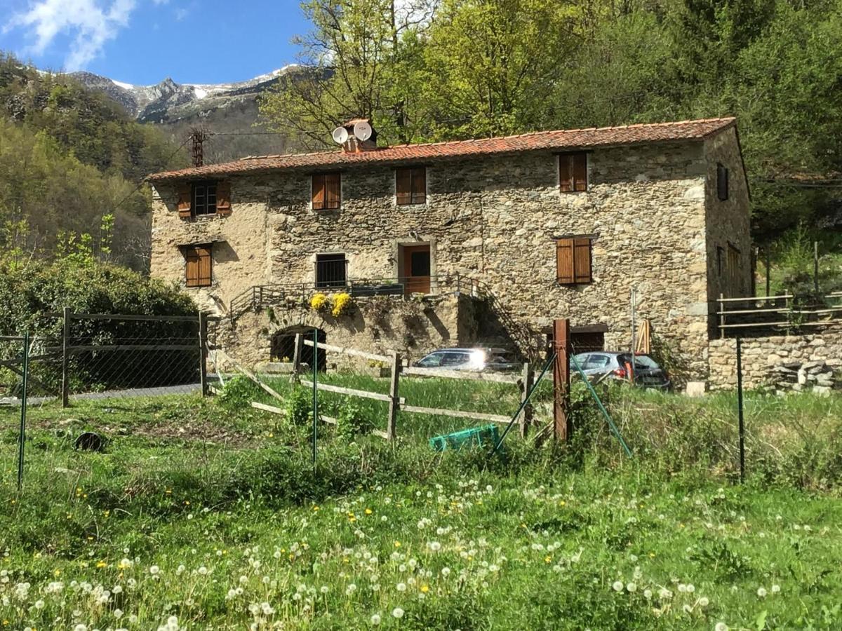 Mas Graffouil Apartment Prats-de-Mollo-la-Preste Exterior photo